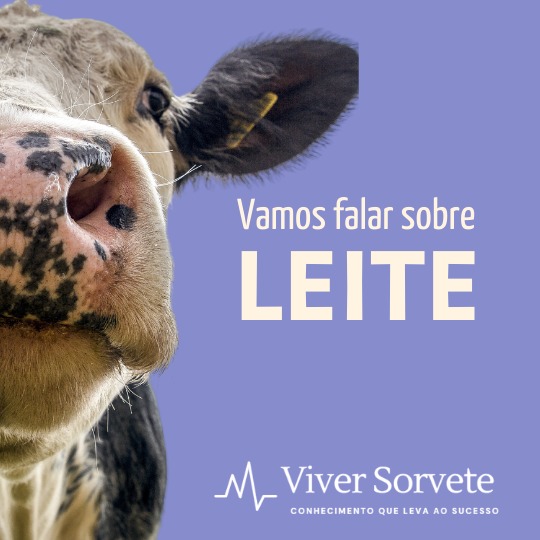 sorvete, sorveteria, gelato, consultoria de alimentos, consultoria sorvetes, soft, gordura láctea, caseína, soro - proteínas