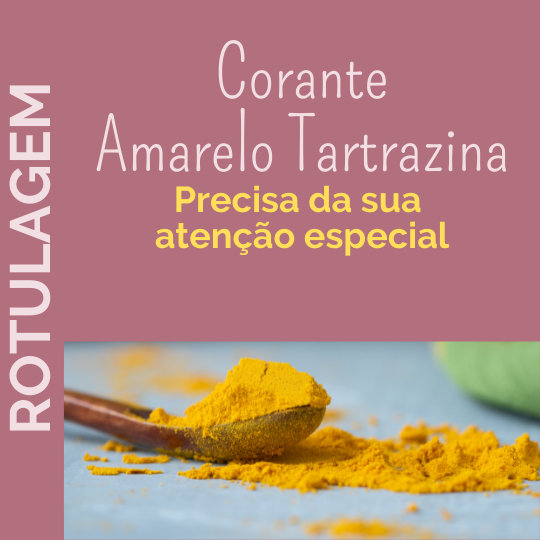  sorvete, sorveteria, gelato,soft, consultoria de alimentos, consultoria sorvetes, rotulagem de sorvetes, corante amarelo tartrazina, ANVISA