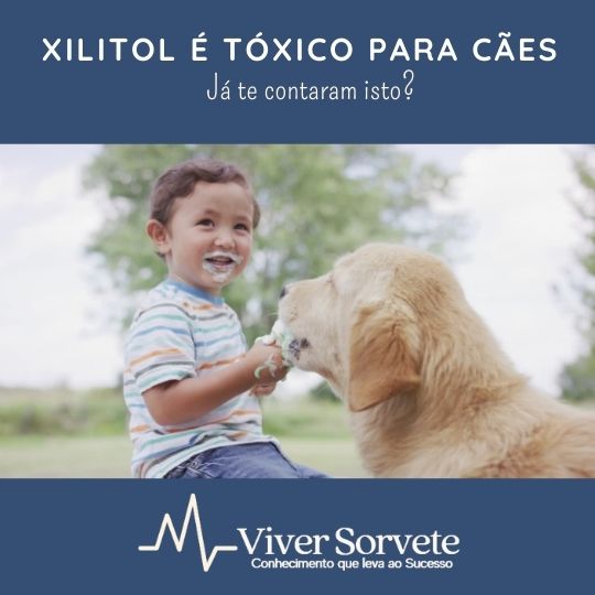 Sorvete, sorveteria, gelato, soft, consultoia de alimentos, consultoria sorvetes, xilitol para cães, perigo