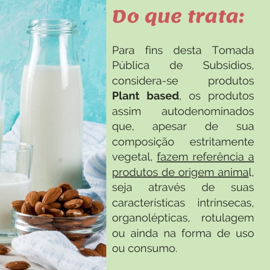 Sorvete, sorveteria, gelato, soft, consultoia de alimentos, consultoria sorvetes, plant based, ministério da agricutura