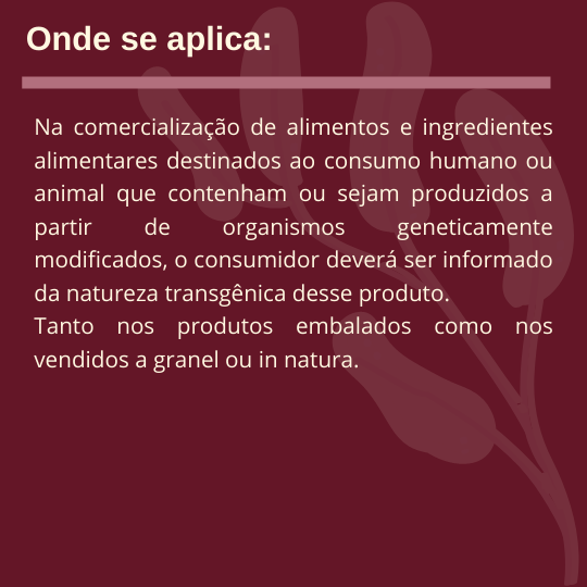 Sorvete, sorveteria, gelato, soft, consultoia de alimentos, consultoria sorvetes, rotulagem sorvete, trangenicos