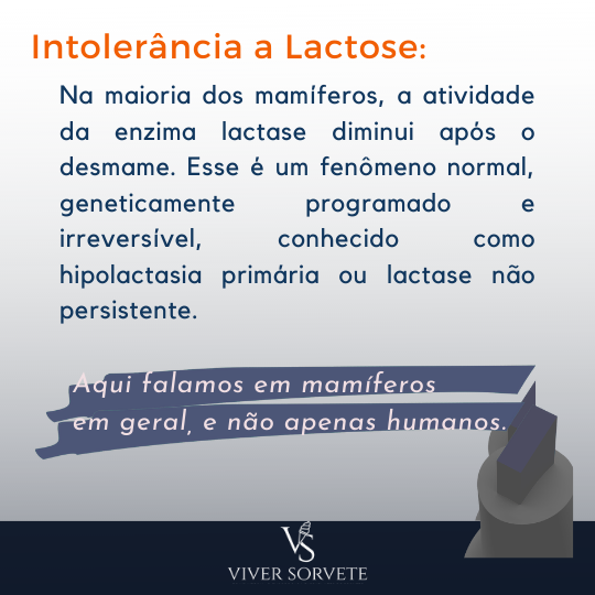 lactose, intolerancia a lactose, causas,  gelados comestíveis, sorvete, sorveteria, gelato, açai, consultoria sorvete, consultoria alimentos, curso sorvete, curso rotulagem, rotulagem sorvete